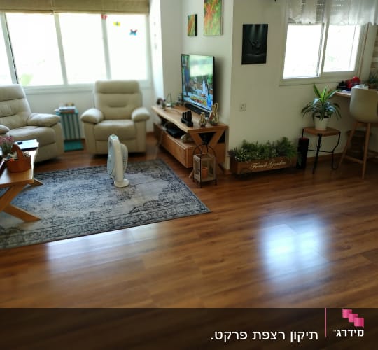 רצפת פרקט עץ כהה בסלון מואר עם שטיח